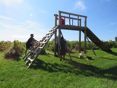 Three Skyline staff build a wooden obstacle