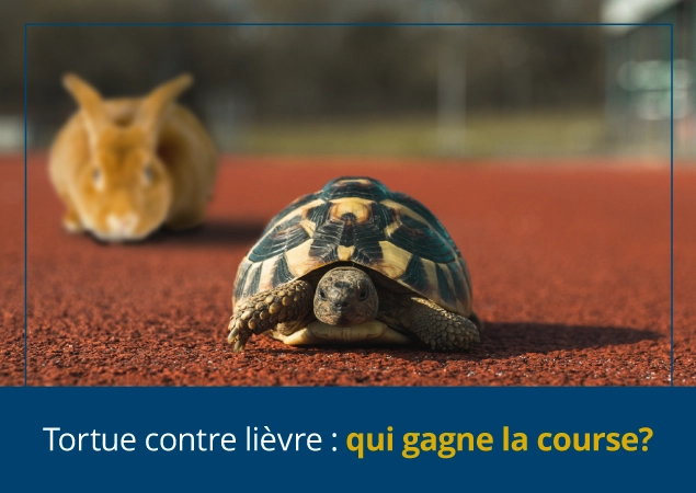Tortue contre lievre : qui gagne la course?